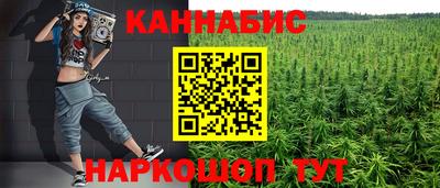 сатива Ярославль