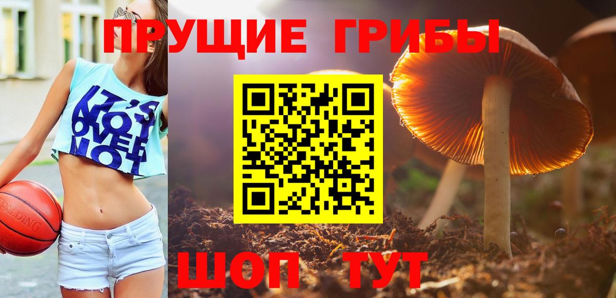 Галлюциногенные грибы Magic Shrooms Петрозаводск