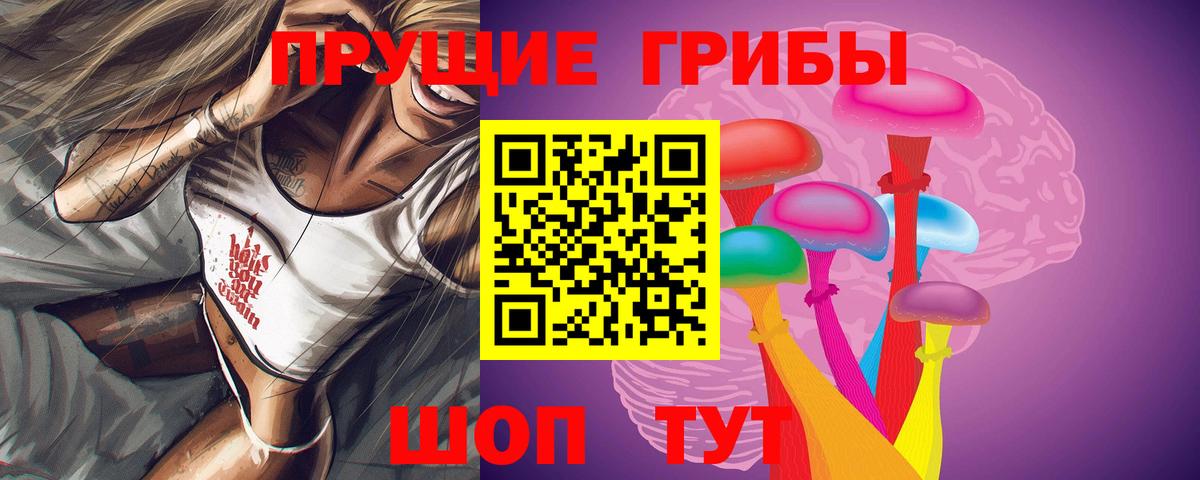 Петрозаводск  Псилоцибиновые грибы ЛСД  Вход с VPN 